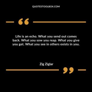 Life is an echo. What you send out comes back. What you sow you reap. What you give you get. What you see in others exists in you.