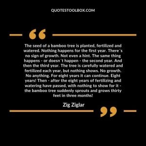 The seed of a bamboo tree is planted, fertilized and watered. Nothing happens for the first year. There´s no sign of growth. Not even a hint. The same thing happens - or doesn´t happen - the second year. And then the third year. The tree is carefully watered and fertilized each year, but nothing shows. No growth. No anything. For eight years it can continue. Eight years! Then - after the eight years of fertilizing and watering have passed, with nothing to show for it - the bamboo tree suddenly sprouts and grows thirty feet in three months!