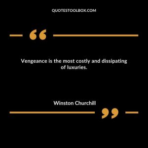 Vengeance is the most costly and dissipating of luxuries.