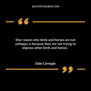 One reason why birds and horses are not unhappy is because they are not trying to impress other birds and horses.
