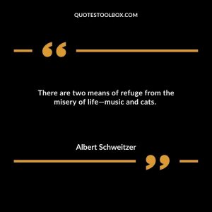 There are two means of refuge from the misery of life—music and cats.