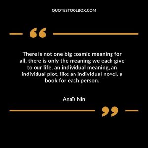There is not one big cosmic meaning for all, there is only the meaning we each give to our life, an individual meaning, an individual plot, like an individual novel, a book for each person