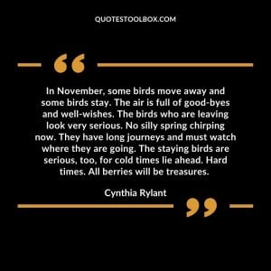 In November, some birds move away and some birds stay. The air is full of good-byes and well-wishes. The birds who are leaving look very serious. No silly spring chirping now. They have long journeys and must watch where they are going. The staying birds are serious, too, for cold times lie ahead. Hard times. All berries will be treasures.
