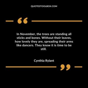 In November, the trees are standing all sticks and bones. Without their leaves, how lovely they are, spreading their arms like dancers. They know it is time to be still.