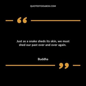 Just as a snake sheds its skin, we must shed our past over and over again.