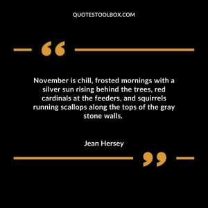 November is chill, frosted mornings with a silver sun rising behind the trees, red cardinals at the feeders, and squirrels running scallops along the tops of the gray stone walls.