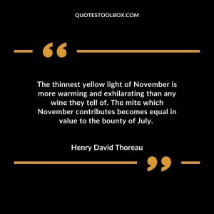 The thinnest yellow light of November is more warming and exhilarating than any wine they tell of. The mite which November contributes becomes equal in value to the bounty of July.