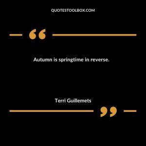 Autumn is springtime in reverse