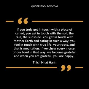 If you truly get in touch with a piece of carrot, you get in touch with the soil, the rain, the sunshine. You get in touch with Mother Earth and eating in such a way, you feel in touch with true life, your roots, and that is meditation. If we chew every morsel of our food in that way, we become grateful, and when you are grateful, you are happy.