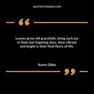 Leaves grow old gracefully, bring such joy in their last lingering days. How vibrant and bright is their final flurry of life