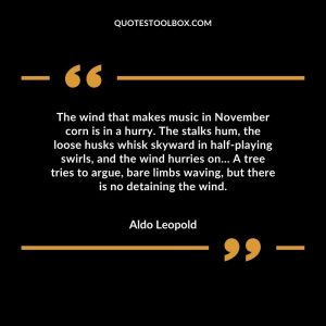 The wind that makes music in November corn is in a hurry. The stalks hum, the loose husks whisk skyward in half-playing swirls, and the wind hurries on… A tree tries to argue, bare limbs waving, but there is no detaining the wind