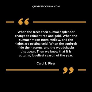 When the trees their summer splendor change to raiment red and gold. When the summer moon turns mellow, and the nights are getting cold. When the squirrels hide their acorns, and the woodchucks disappear. Then we know that it is autumn, loveliest season of the year