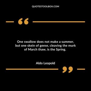One swallow does not make a summer, but one skein of geese, cleaving the murk of March thaw, is the Spring.