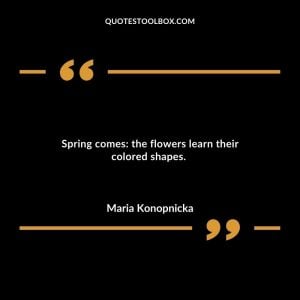 Spring comes: the flowers learn their colored shapes.