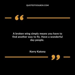 A broken wing simply means you have to find another way to fly. Have a wonderful day people.