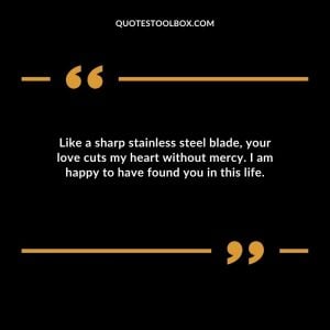 Like a sharp stainless steel blade, your love cuts my heart without mercy. I am happy to have found you in this life.