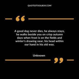 A good dog never dies, he always stays, he walks beside you on crisp autumn days when frost is on the fields and winter’s drawing near, his head within our hand in his old way.