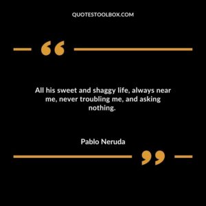 All his sweet and shaggy life, always near me, never troubling me, and asking nothing.