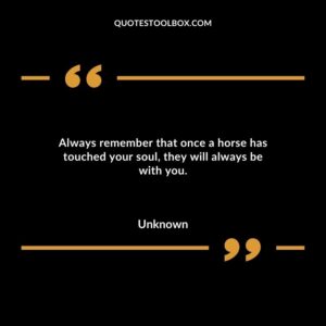 Always remember that once a horse has touched your soul, they will always be with you.