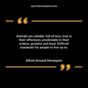 Animals are reliable, full of love, true in their affections, predictable in their actions, grateful and loyal. Difficult standards for people to live up to.