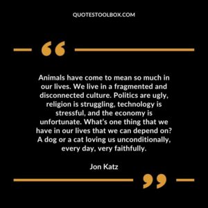 Animals have come to mean so much in our lives. We live in a fragmented and disconnected culture. Politics are ugly, religion is struggling, technology is stressful, and the economy is unfortunate.