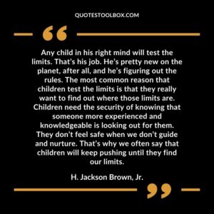Any child in his right mind will test the limits. That’s his job. He’s pretty new on the planet, after all, and he’s figuring out the rules. The most common reason that children test the limits