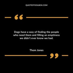 Dogs have a way of finding the people who need them and filling an emptiness we didn’t ever know we had. Baby's Smile Quotes