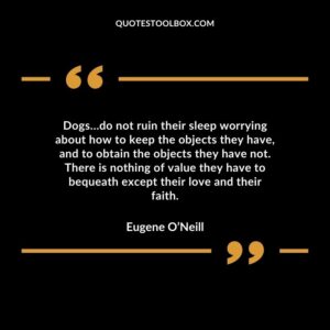 Dogs…do not ruin their sleep worrying about how to keep the objects they have, and to obtain the objects they have not. There is nothing of value they have to bequeath except their love and