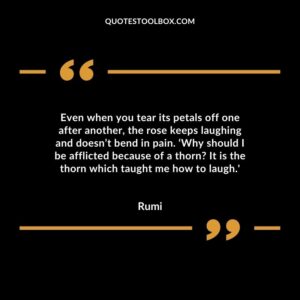Even when you tear its petals off one after another, the rose keeps laughing and doesn’t bend in pain. ‘Why should I be afflicted because of a thorn It is the thorn which taught me how to laugh.'