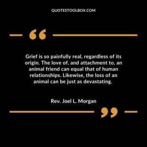 Grief is so painfully real, regardless of its origin. The love of, and attachment to, an animal friend can equal that of human relationships. Likewise, the loss of an animal can be just as