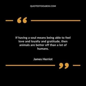 If having a soul means being able to feel love and loyalty and gratitude, then animals are better off than a lot of humans.