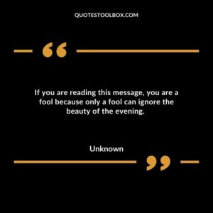 If you are reading this message, you are a fool because only a fool can ignore the beauty of the evening.