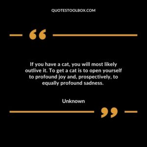 If you have a cat, you will most likely outlive it. To get a cat is to open yourself to profound joy and, prospectively, to equally profound sadness.