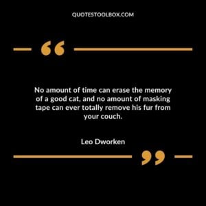 No amount of time can erase the memory of a good cat, and no amount of masking tape can ever totally remove his fur from your couch. Baby's Smile Quotes