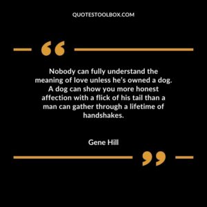 Nobody can fully understand the meaning of love unless he’s owned a dog. A dog can show you more honest affection with a flick of his tail than a man can gather through a lifetime of handshakes. Baby's Smile Quotes