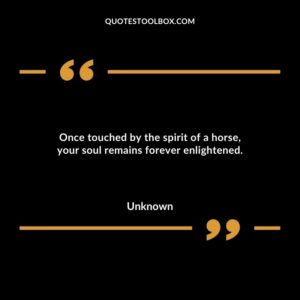 Once touched by the spirit of a horse, your soul remains forever enlightened.
