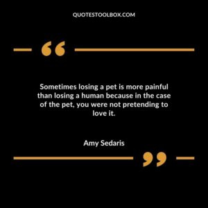 Sometimes losing a pet is more painful than losing a human because in the case of the pet, you were not pretending to love it.