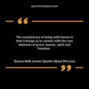 The essential joy of being with horses is that it brings us in contact with the rare elements of grace, beauty, spirit and freedom.