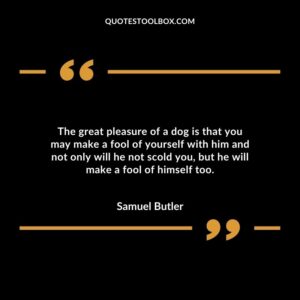 The great pleasure of a dog is that you may make a fool of yourself with him and not only will he not scold you, but he will make a fool of himself too. Baby's Smile Quotes