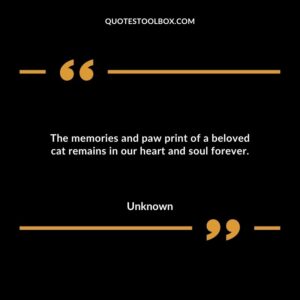The memories and paw print of a beloved cat remains in our heart and soul forever. 