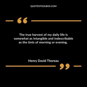 The true harvest of my daily life is somewhat as intangible and indescribable as the tints of morning or evening.