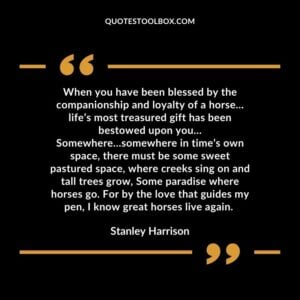 When you have been blessed by the companionship and loyalty of a horse… life’s most treasured gift has been bestowed upon you...Somewhere…somewhere in time’s own space, there must be some sweet