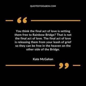 You think the final act of love is setting them free to Rainbow Bridge That is not the final act of love. The final act of love is releasing them from your leash of grief so they can be free