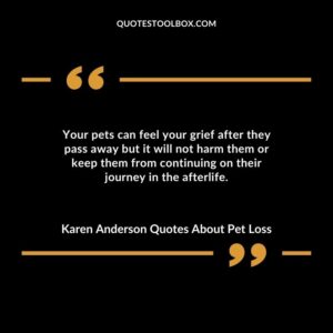 Your pets can feel your grief after they pass away but it will not harm them or keep them from continuing on their journey in the afterlife.