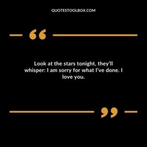 Look at the stars tonight, they’ll whisper: I am sorry for what I’ve done. I love you.