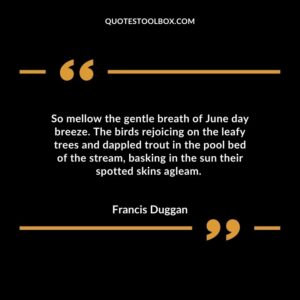 So mellow the gentle breath of June day breeze. The birds rejoicing on the leafy trees and dappled trout in the pool bed of the stream, basking in the sun their spotted skins agleam.
