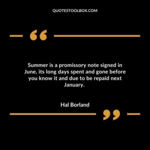Summer is a promissory note signed in June, its long days spent and gone before you know it and due to be repaid next January.
