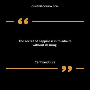 The secret of happiness is to admire without desiring