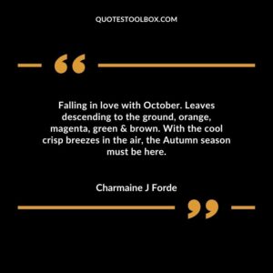 Falling in love with October. Leaves descending to the ground orange magenta green brown. With the cool crisp breezes in the air the Autumn season must be here