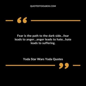 Fear is the path to the dark side…fear leads to anger…anger leads to hate…hate leads to suffering